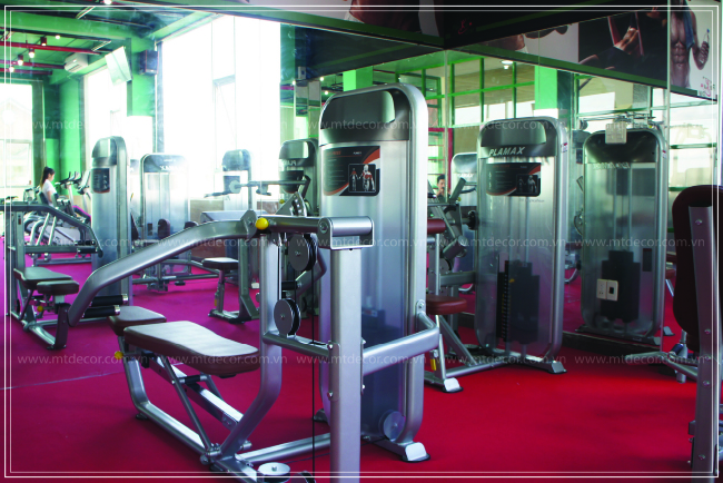 gym8